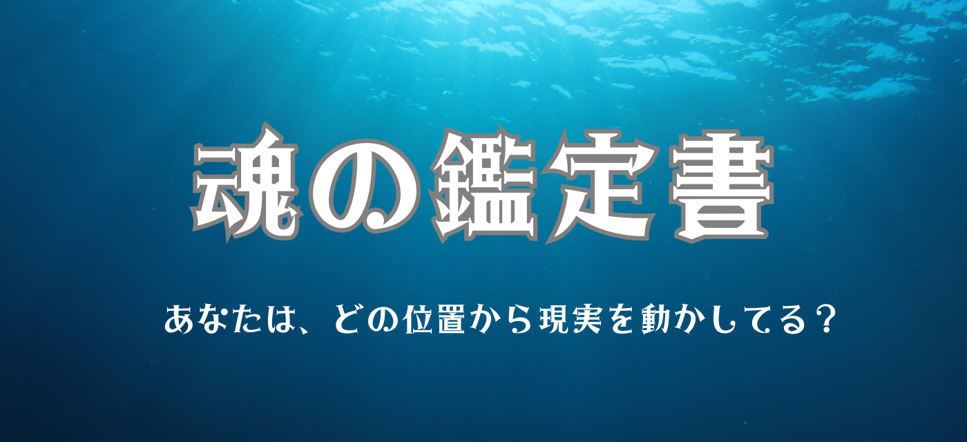 オリンポス・ゼウ子【魂の鑑定書】